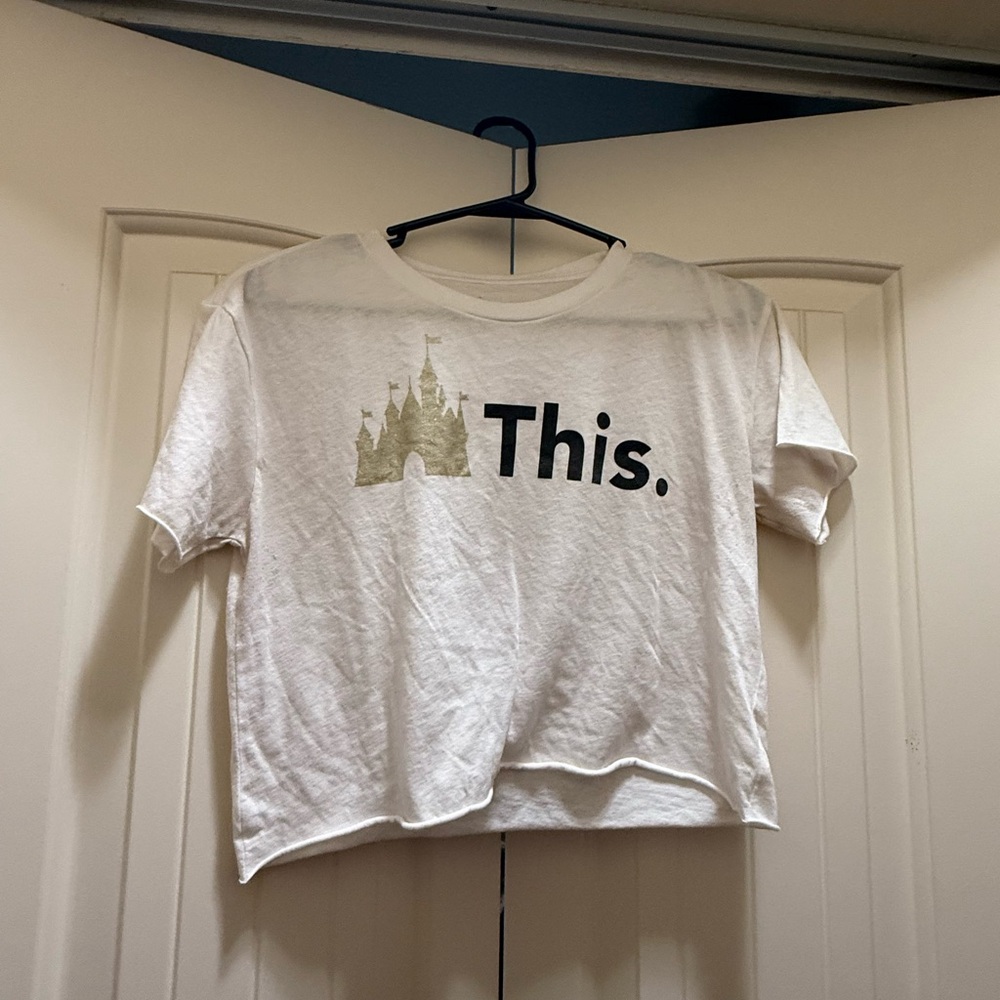 Disney Magic Kingdom crop top